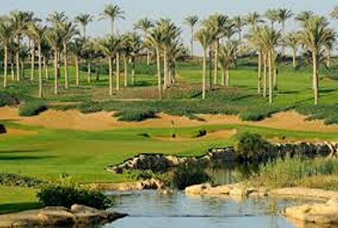 7996267 - صورة العقار 3