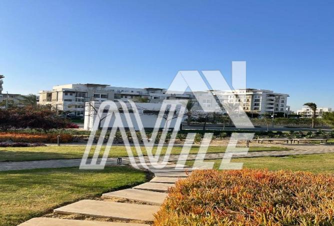 8059615 - صورة العقار 3