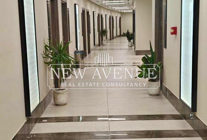 8386417 - Property Image 3