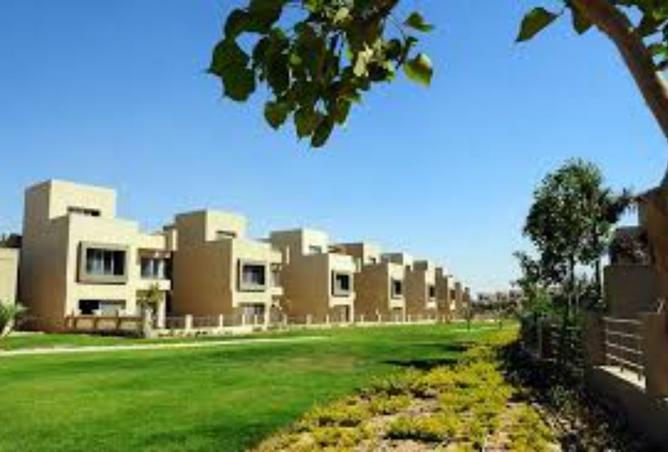8098841 - صورة العقار 2