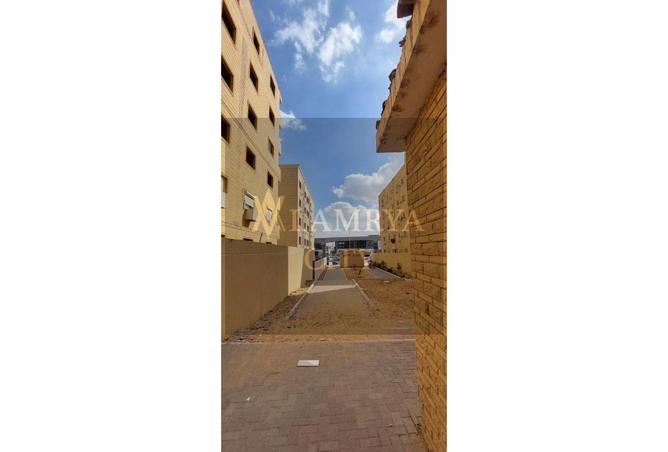 8472114 - صورة العقار 3