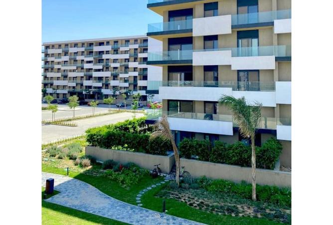 8337153 - صورة العقار 3