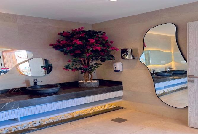 8169071 - صورة العقار 3