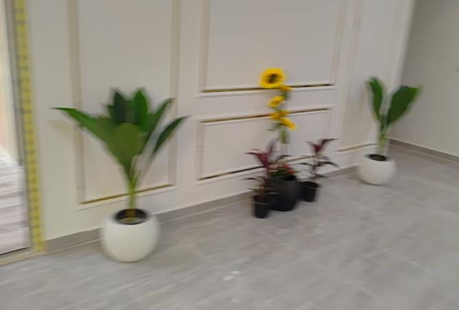 8367636 - صورة العقار 3