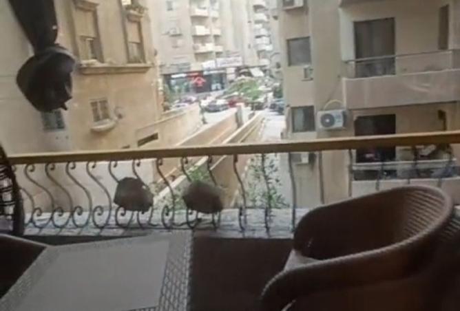 8510543 - صورة العقار 2