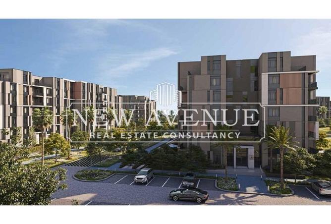 8162221 - Property Image 3