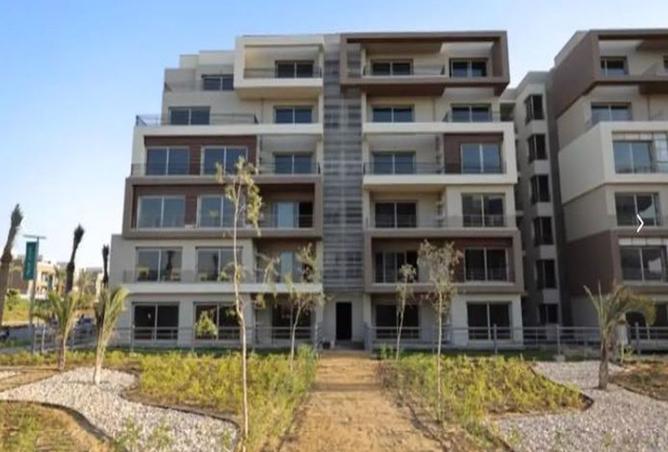 8413892 - Property Image 3