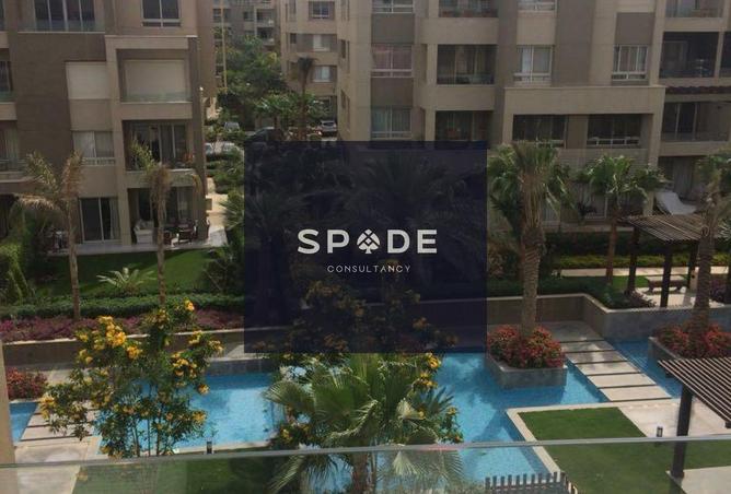 8380640 - Property Image 3