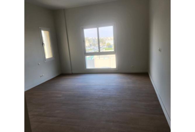 8305863 - Property Image 3