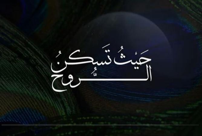 7747089 - صورة العقار 3