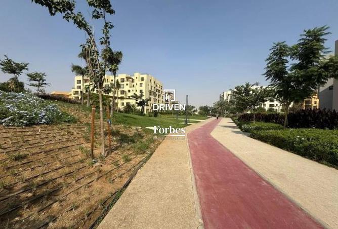 8168768 - Property Image 3