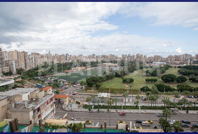 7910413 - صورة العقار 3