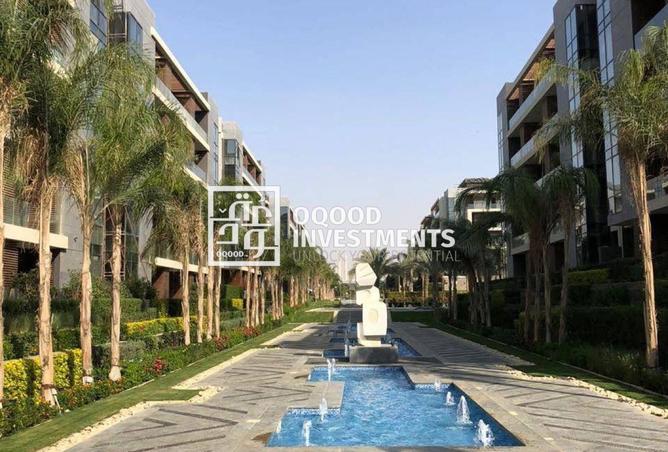 8456480 - Property Image 2