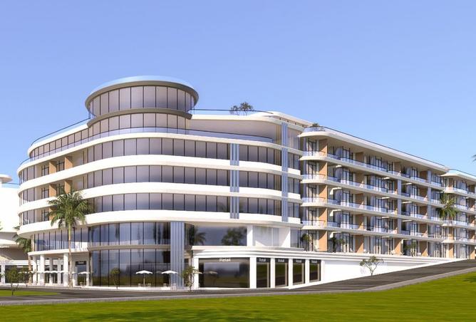 8324559 - Property Image 3