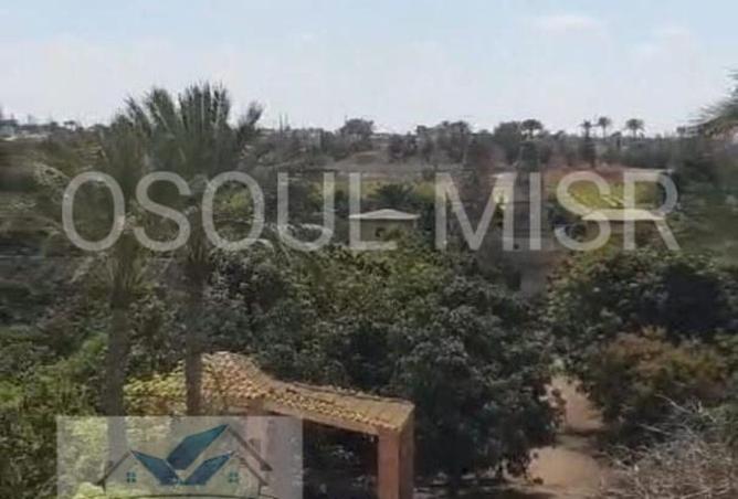 8399312 - Property Image 3