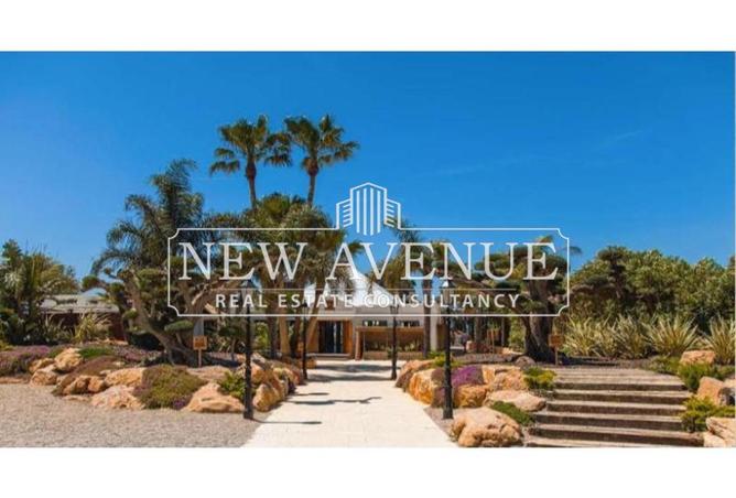 8386418 - Property Image 2