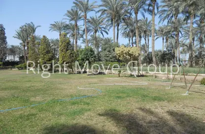 مزرعة - استوديو للبيع في المنصورية - حي الهرم - الجيزة