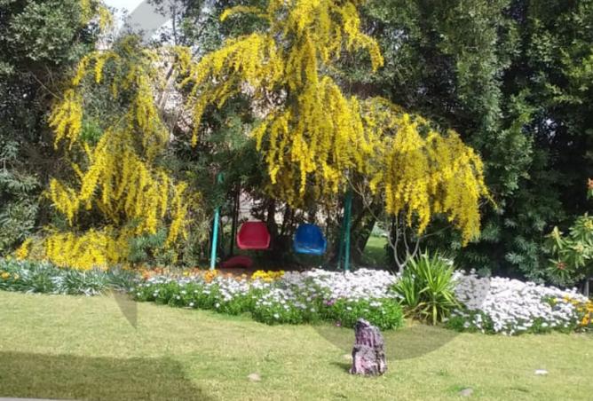 7988814 - Property Image 2