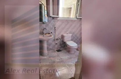شقة - 3 غرف نوم - 2 حمامات للايجار في شارع شامبليون - الأزاريطة - حي وسط - الاسكندرية