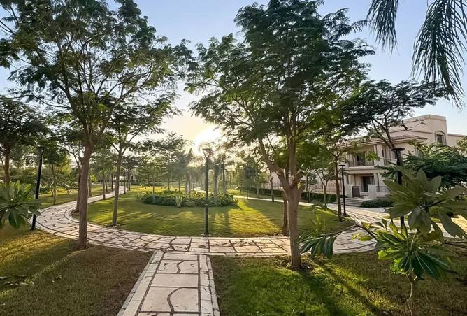 8399686 - صورة العقار 3