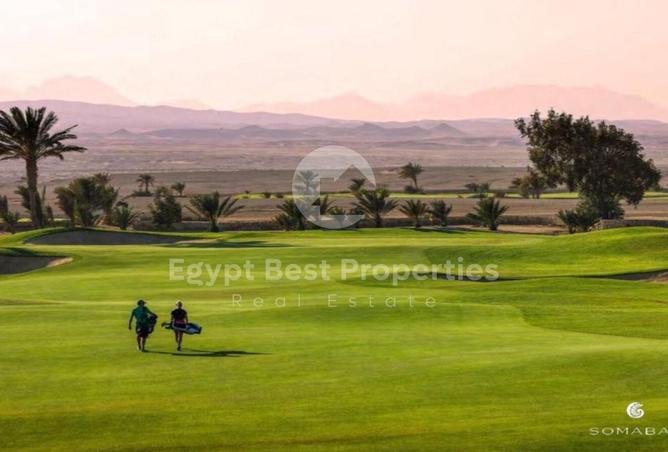7962338 - صورة العقار 3