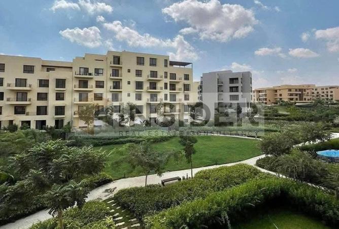7956082 - صورة العقار 2