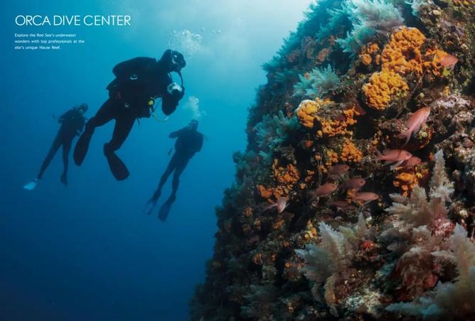 8538075 - Property Image 2