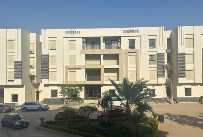 8078293 - صورة العقار 3
