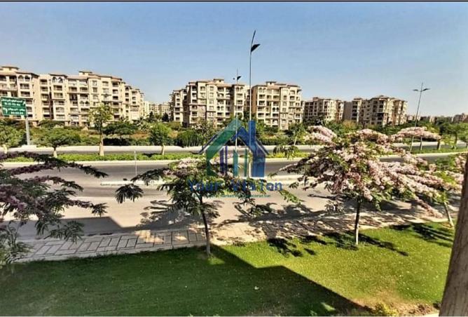 8179333 - صورة العقار 3