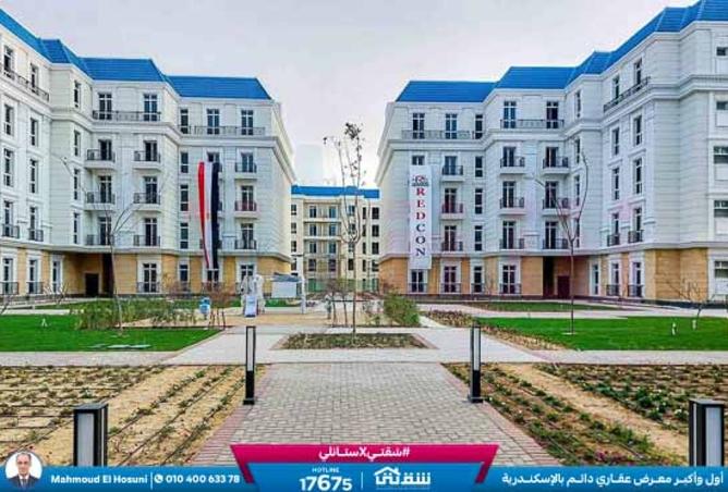 8388906 - صورة العقار 2