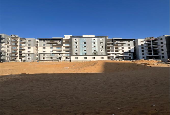 7981786 - Property Image 3