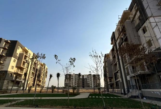 8448751 - Property Image 3