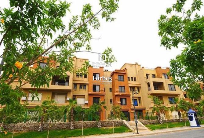 8293248 - Property Image 3