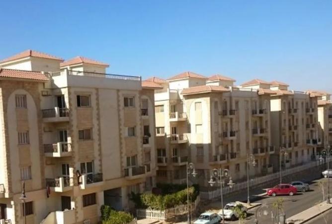 8170948 - Property Image 3