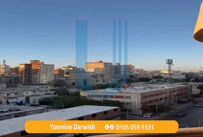 7981741 - صورة العقار 3