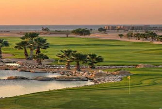 8455624 - Property Image 2