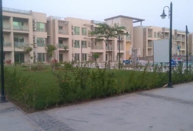 8197029 - صورة العقار 2