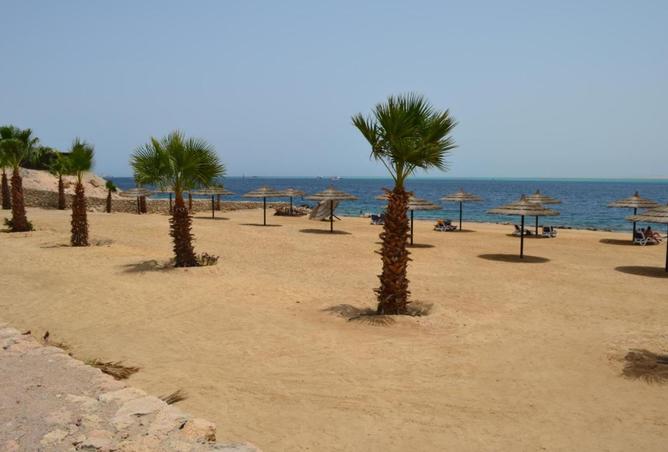 8200716 - Property Image 2