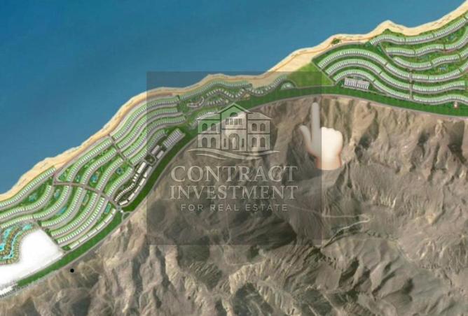 8272288 - صورة العقار 2