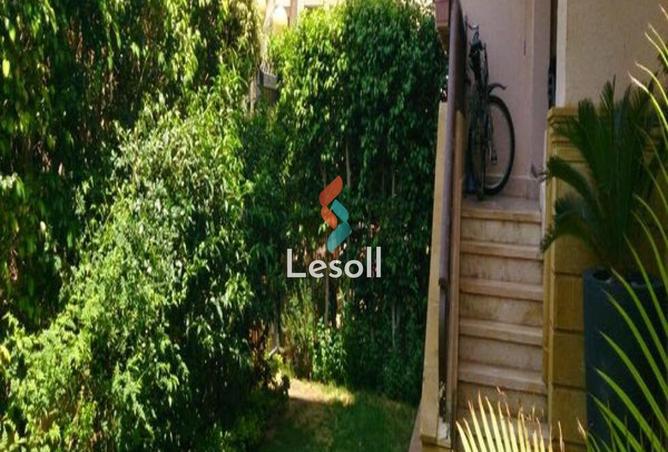 8286925 - Property Image 3