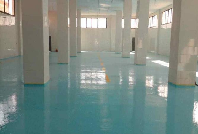 8433902 - Property Image 3