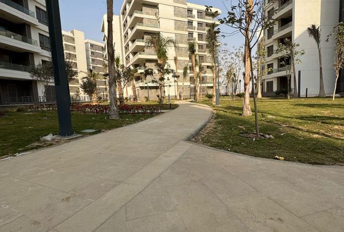 7953407 - صورة العقار 2
