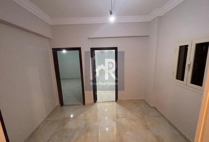 8087294 - Property Image 3