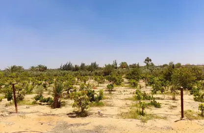 Land - Studio for sale in Green Revolution - Sheikh Zayed Compounds - Sheikh Zayed City - Giza