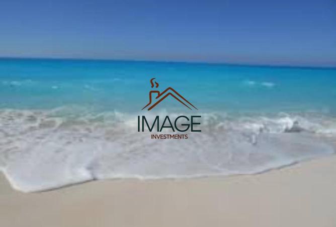 8333079 - Property Image 3