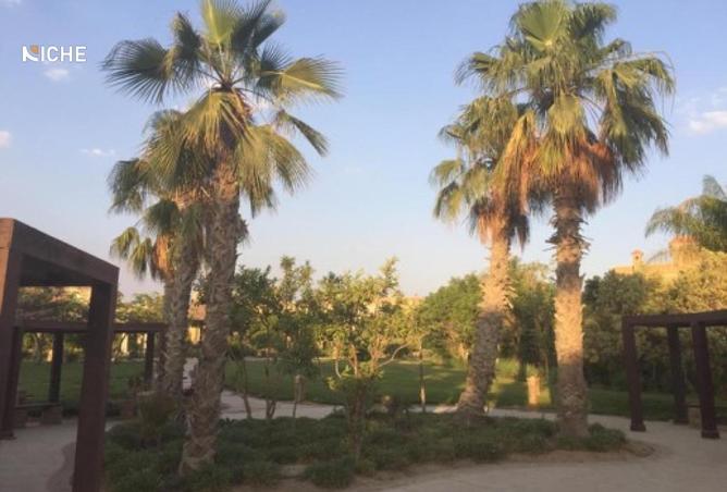 8287885 - صورة العقار 2