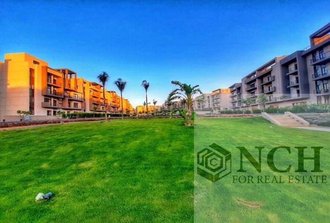 8323295 - Property Image 2