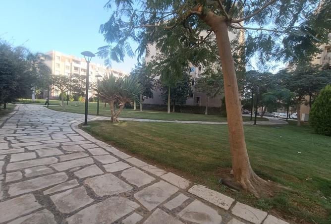 8446735 - Property Image 3