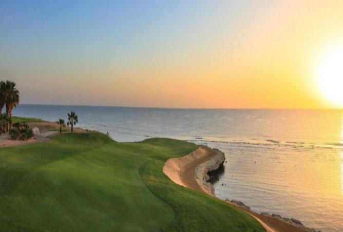 8451653 - Property Image 3