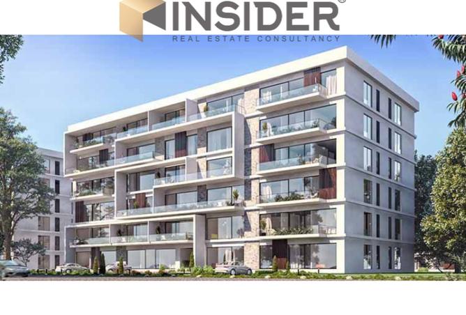 8472859 - Property Image 3